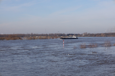 RheinHochwasser5